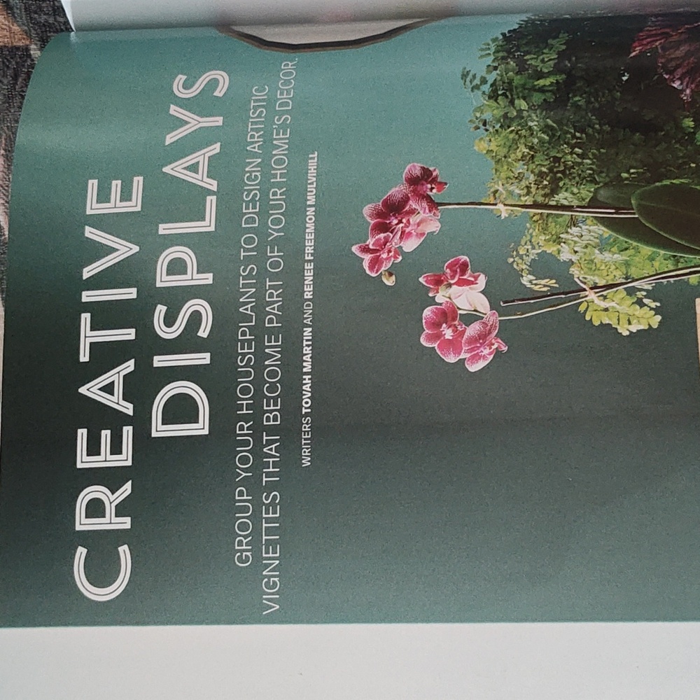 MAGAZINE: HOUSEPLANTS - Picture 13 of 15